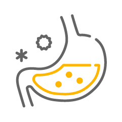  ǰ